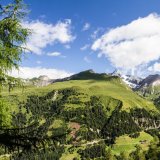 VGT zum „Jagdübereinkommen“ Nationalpark Hohe Tauern: wo bleibt der Tierschutz?