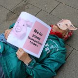 Flashmob auf der Wiener Mariahilferstraße zu Vollspalten: sterbende Schweine