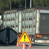 Österreich und EU senken Schutz für Tiere auf Transporten 