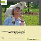 Promis unterstützen VGT-Tiertransporte-Kampagne