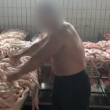 Skandal: Fleischverarbeiter nutzt tote Tierkörper für perverses Video