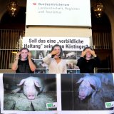 VGT-Aktion zu Schweine-Vollspaltenboden: Landwirtschaftsministerin nimmt nicht Stellung