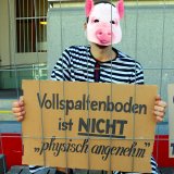 VGT-Aktion Schweine: Köstinger sagt „mittelfristig Vollspalten-Ausstieg vorstellbar“