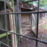 Burgenland: Keine Enten mehr bei Mensdorff-Pouilly ausgesetzt, Zäune abgebaut