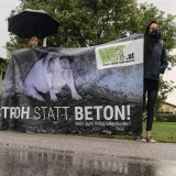 Protest gegen Schweinequal in Salzburg-Grödig endet mit Polizeieinsatz