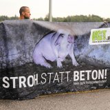 Salzburg: Umweltausschuss des Landtags gegen Vollspaltenboden für Schweine