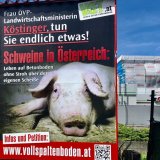 1.000 VGT-Großplakate österreichweit für 2 Wochen: Frau Köstinger, tun Sie endlich etwas!