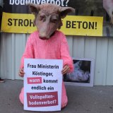 23 Demos österreichweit allein diese Woche gegen Vollspaltenboden in der Schweinehaltung!
