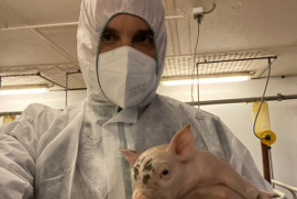 Florian Klenk in der Schweinefabrik