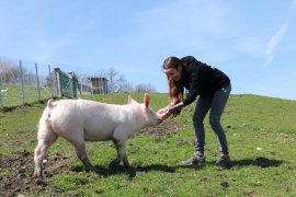 Anna in der Wiese mit Sandy