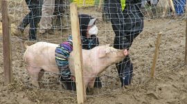 Aktivistin mit Schwein