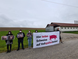 Demo vor der Schweinefabrik