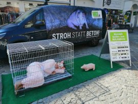 Aktivismus im Burgenland