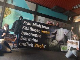 Aktivismus in Kärnten