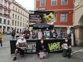 Aktivismus in der Steiermark
