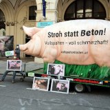 Grunzi Tour in Wien: 5 m Schwein fordert Vollspaltenbodenverbot von Politik