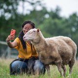 Selfies mit Wildtieren – das Geschäft mit dem Tierleid