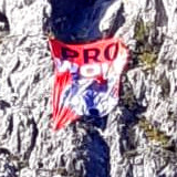Riesiges „Pro Wolf“ Transparent prangt heute von der Martinswand über Zirl bei Innsbruck
