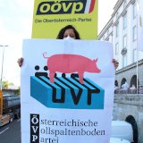 Lebensgroße Pappschweine vor der OÖVP-Zentrale in Linz erinnern an Vollspaltenleid