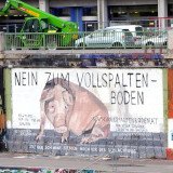 90 m² Schweine-Vollspaltenboden Graffiti am Wiener Donaukanal innert 5 Stunden gemalt
