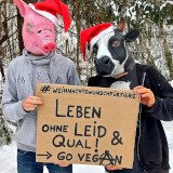 Nikolo Online Aktion des VGT: Weihnachtswünsche für Tiere