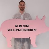Einladung Aktion: Tierschützer:innen prangern Schweineleid auf Vollspaltenboden an