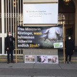Tag des Schweins: VGT-Protest vor dem Landwirtschaftsministerium gegen Schweine-Vollspaltenboden