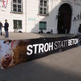 VGT-Demos Schweine Vollspaltenboden vor Ministerrat und Empfängen CH-Präsident