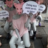 Einladung zu Aktion Wien Ballhausplatz: Vollspaltenboden – ein Leben auf dem Klo