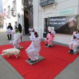 5 Schweine am Klo vor dem Bundeskanzleramt protestieren gegen Vollspaltenboden