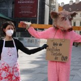 Aktivist als Schwein verkleidet auf Vollspaltenboden am Wiener Stephansplatz gekreuzigt!