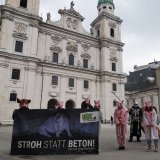 Proteste in allen Bundesländern gegen die Haltung von Schweinen auf Vollspaltenboden