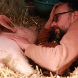 Gerettetes Schwein Anna: Streicheleinheiten statt kaltem, einstreulosem Vollspaltenboden