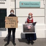 650 Demos österreichweit gegen Schweine-Vollspaltenboden, allein 11 letzte Woche
