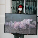 Der Leidensweg der Schweine dargestellt vor dem Bundeskanzleramt zum Ministerrat