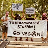 Zum Int. Tag gegen Tiertransporte: Tierschützer:innen weltweit fordern Ende der qualvollen Lebenstransporte von Tieren