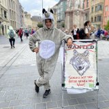 Mythen widerlegt: 1.000 Unterschriften für den Wolfsschutz