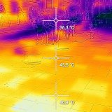 Wärmebildkamera-Messung bei Fiakern ergibt: Schon gestern fast 38 Grad bei den Pferden am Stephansplatz