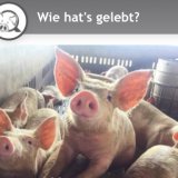Die aktuellste Info-Seite zum Thema Schweinefleisch-Herkunft!