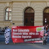 Urteil gegen Gammelfleisch-Schlachthof wird für morgen erwartet