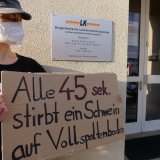 Schweine-Vollspaltenboden: VGT protestiert vor Burgenländischer Landwirtschaftskammer