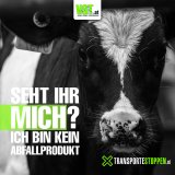 Aufruf zu Tiertransport-Demo in Bregenz