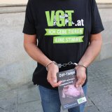 Gegen Polizeiwillkür: Schweine in Handschellen vor der ÖVP-Wahlzentrale in Linz