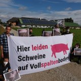 VGT-Demos vor aufgedeckten ÖVP-Schweinefabriken in OÖ und Bauernbundzentrale Linz