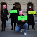 Gammelfleisch-Skandal: Prozess in Graz geht weiter