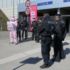Eine Person im Schweinekostüm umzingelt von 7 Polizisten