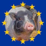 Helfen Sie dem EU-Tierschutzgesetz!