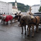 Fiaker in Salzburg: Unglaubliche 100.000 Euro Straßenschäden jährlich