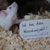Fotoaktion: Welttag der tierfreien Forschung 2022