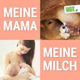Einladung: „Meine Mama, meine Milch! Abgestillt!“ - Tierschutzaktion zum Weltmilchtag
